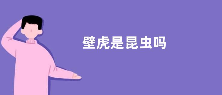壁虎是昆虫吗