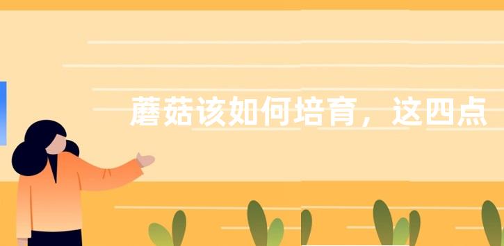 蘑菇该如何培育，这四点是关键