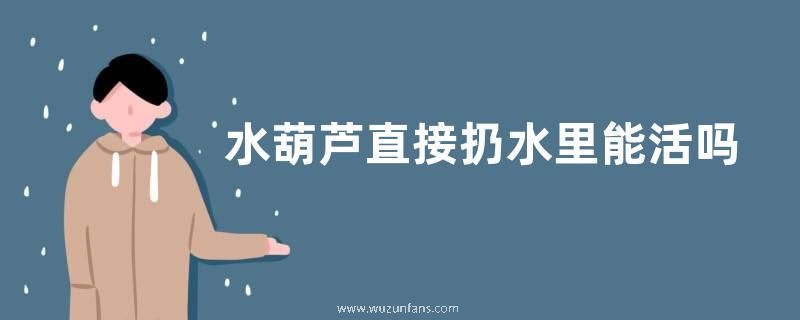 早春怎样种植大棚西瓜，有哪些管理技术要点