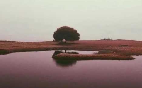 谢土一般在哪几个月