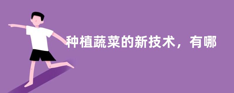 种植蔬菜的新技术，有哪些要点