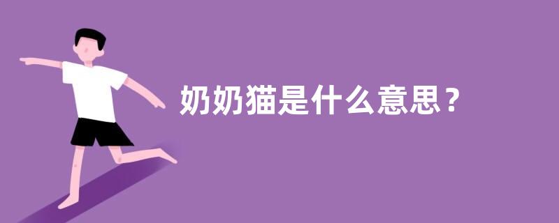 奶奶猫是什么意思？