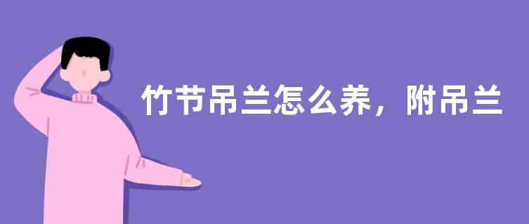 竹节吊兰怎么养，附吊兰的生长习性