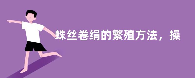 蛛丝卷绢的繁殖方法，操作非常简单