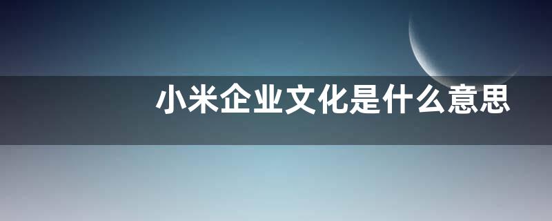 小米企业文化是什么意思？
