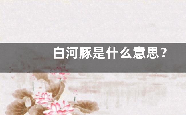 白河豚是什么意思？