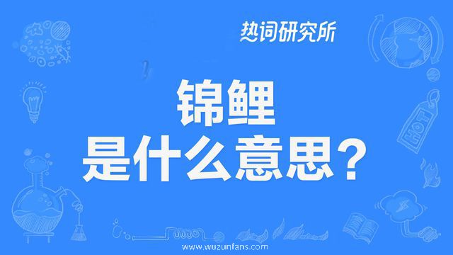 “锦鲤”是什么意思？