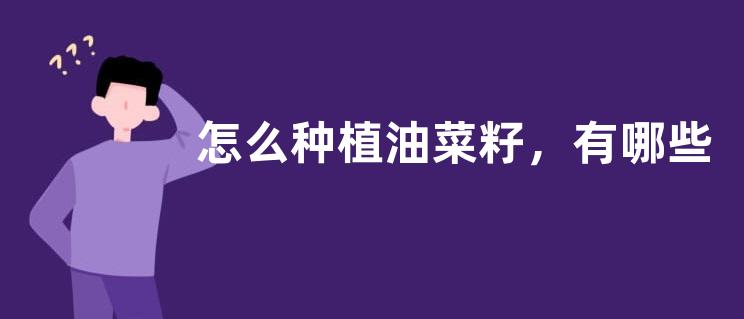 怎么种植油菜籽，有哪些技术要点