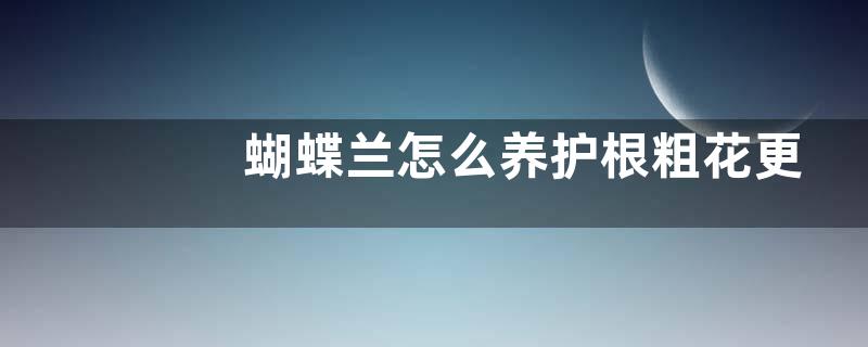 蝴蝶兰怎么养护根粗花更多