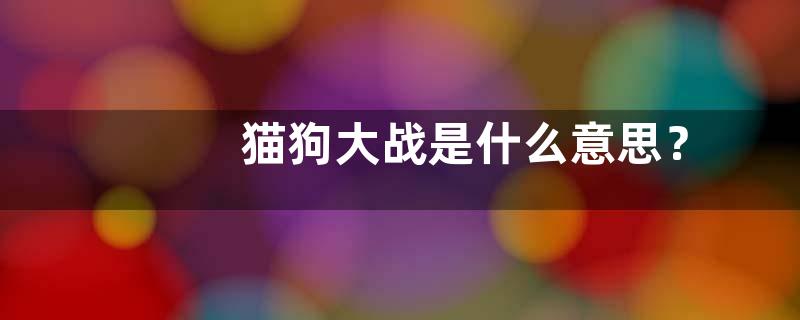 猫狗大战是什么意思？
