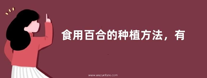 食用百合的种植方法，有哪些要点