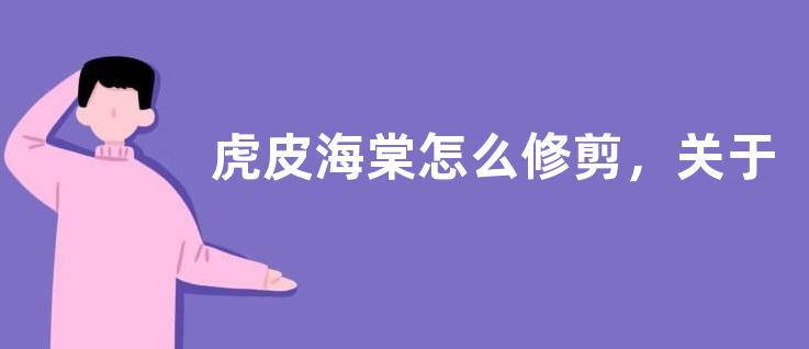 虎皮海棠怎么修剪，关于海棠的文化