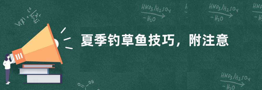夏季钓草鱼技巧，附注意事项