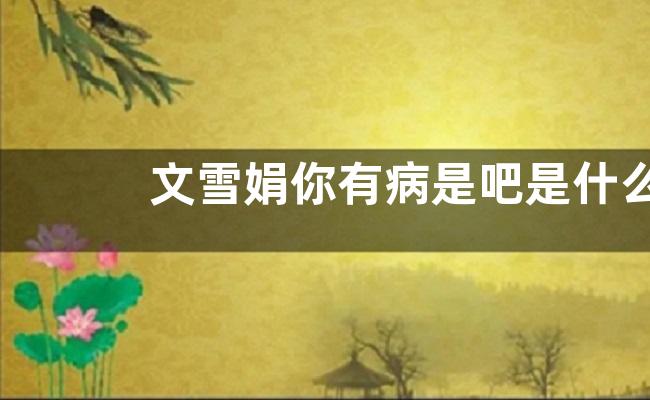 文雪娟你有病是吧是什么意思？