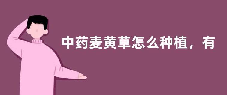 中药麦黄草怎么种植，有哪些要点