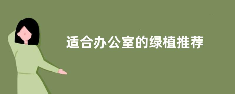 适合办公室的绿植推荐 办公室寓意好的绿植盆栽图片