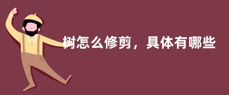 树怎么修剪，具体有哪些方法