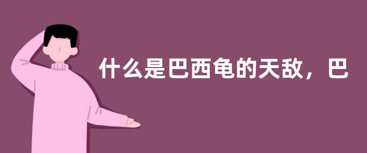 什么是巴西龟的天敌，巴西龟吃哪些食物