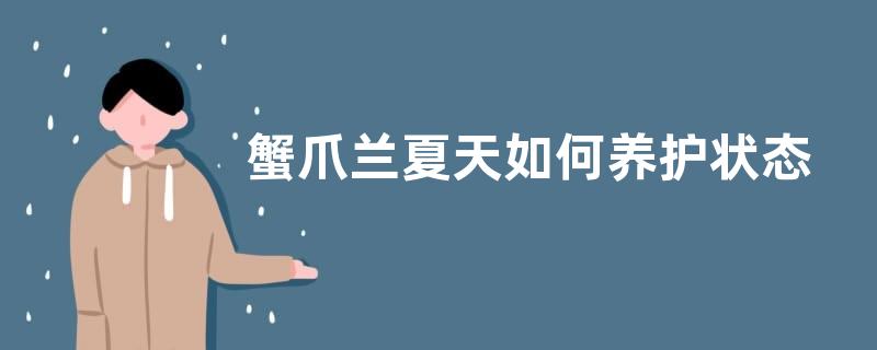 蟹爪兰夏天如何养护状态好