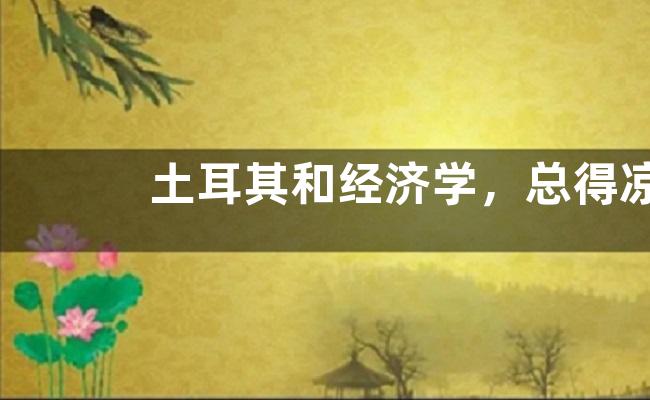 土耳其和经济学，总得凉一个是什么意思？