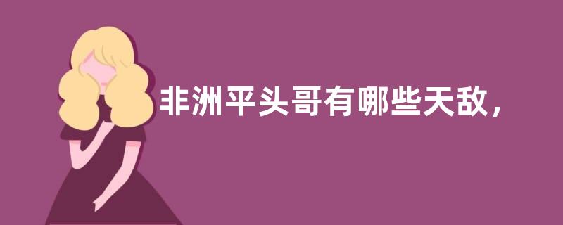 非洲平头哥有哪些天敌，附非洲平头哥的分布范围