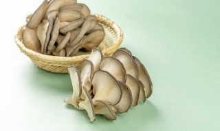 吃菌不能吃什么食物 吃菌不能吃什么食物