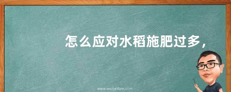 怎么应对水稻施肥过多，水稻一年最多几季