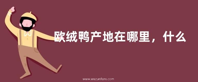 欧绒鸭产地在哪里，什么是欧绒鸭