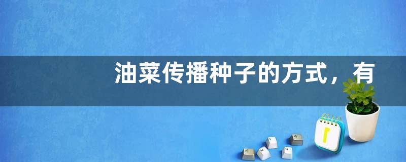 油菜传播种子的方式，有哪些价值