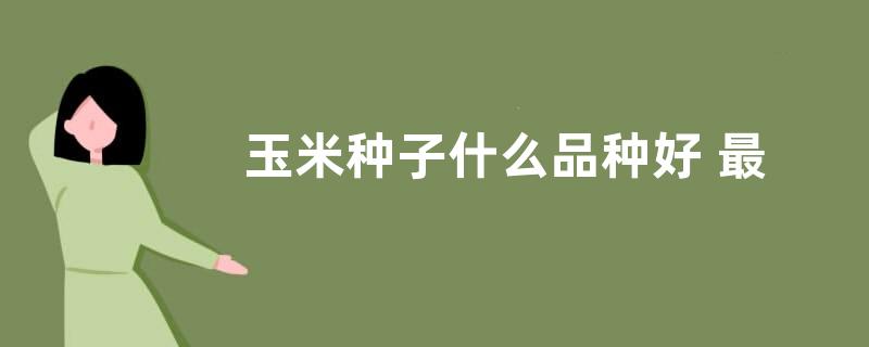玉米种子什么品种好 最好的玉米种子排行榜