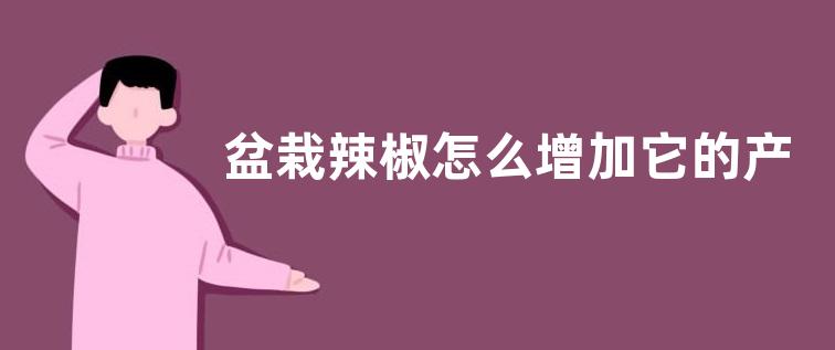 盆栽辣椒怎么增加它的产量