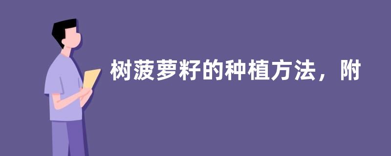 树菠萝籽的种植方法，附树菠萝的种植条件和繁殖方法