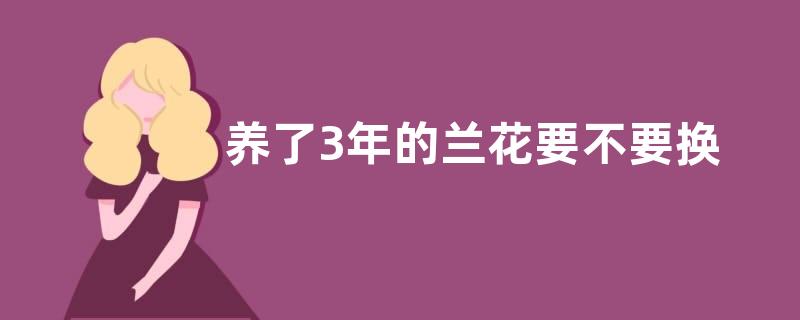 养了3年的兰花要不要换盆