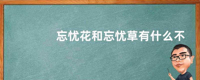 忘忧花和忘忧草有什么不同，忘忧草的主要品种有哪些