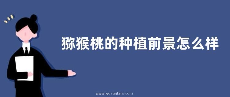 猕猴桃的种植前景怎么样，猕猴桃有哪些营养价值