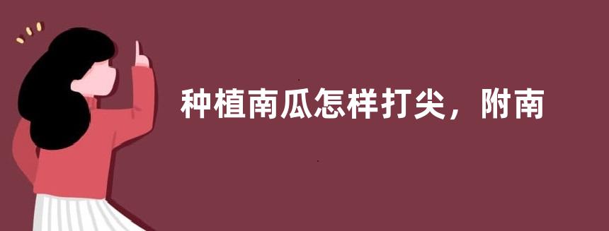 种植南瓜怎样打尖，附南瓜高产种植方法