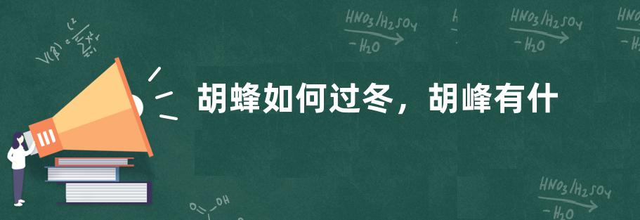 干竹子生虫怎么处理，附竹子的生活用途