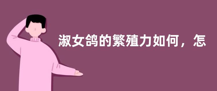 淑女鸽的繁殖力如何，怎么养
