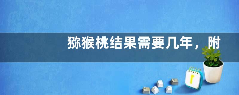 突尼斯石榴结果需要几年，附种植技术