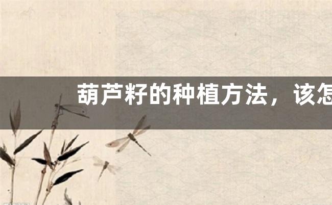 葫芦籽的种植方法，该怎么养护