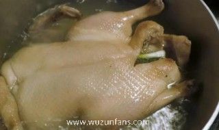 生病的鸭子煮熟能吃吗 公鸭什么人不可以吃