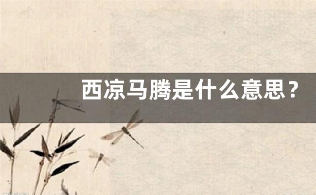 西凉马腾是什么意思？