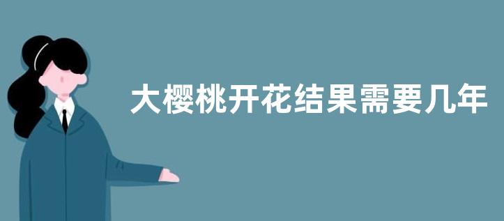大樱桃开花结果需要几年，用樱桃可以做哪些美食