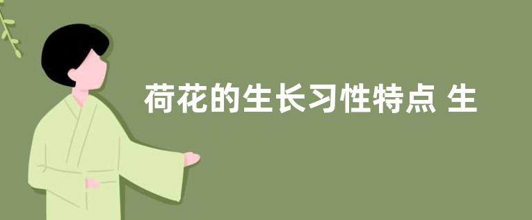 虎刺梅如何养护土壤疏松不板结