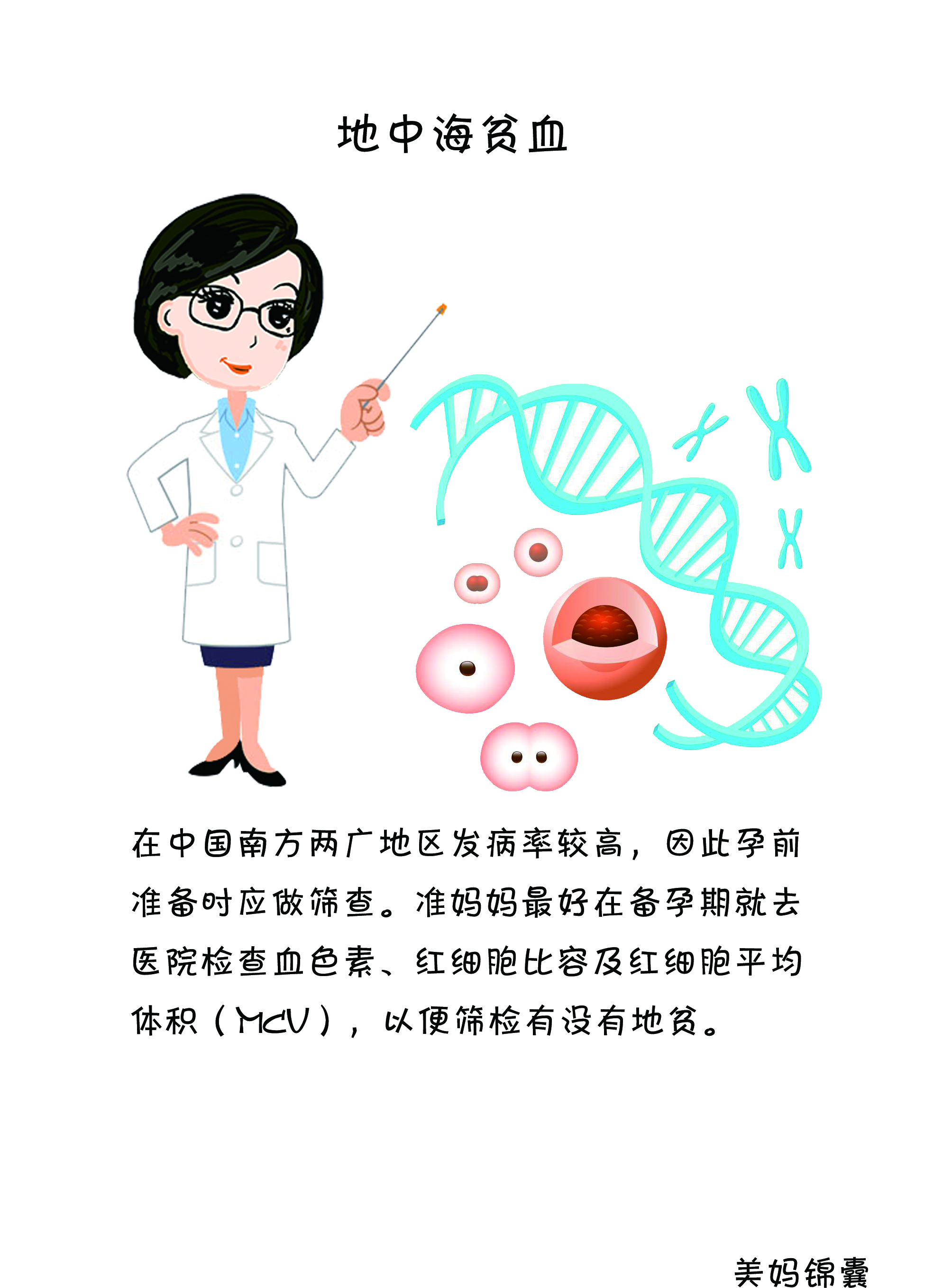 孕妇地中海贫血(孕妇地中海贫血参考值)