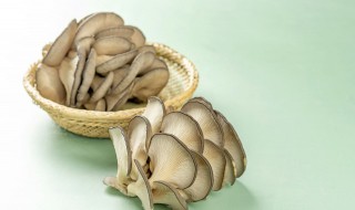 新鲜磨菇怎样做好吃 新鲜蘑菇怎样做好吃
