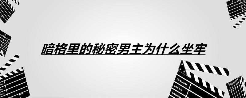 暗格里的秘密男主为什么坐牢