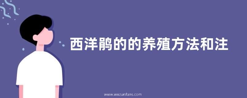 西洋鹃的的养殖方法和注意事项，注意不要施浓肥