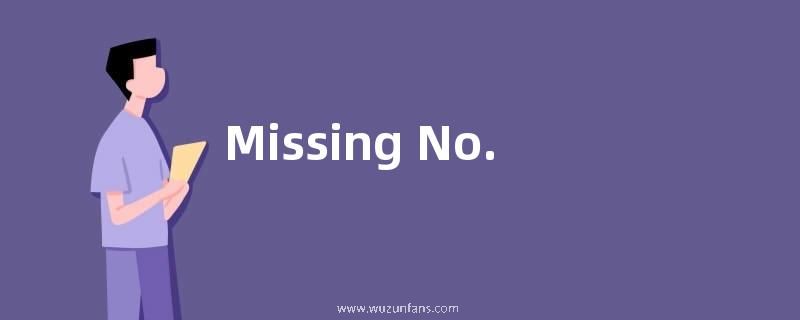 Missing No.是什么意思？