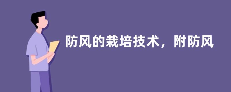 防风的栽培技术，附防风的生长习性